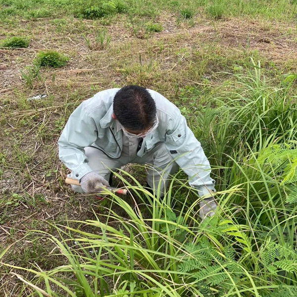 草刈り