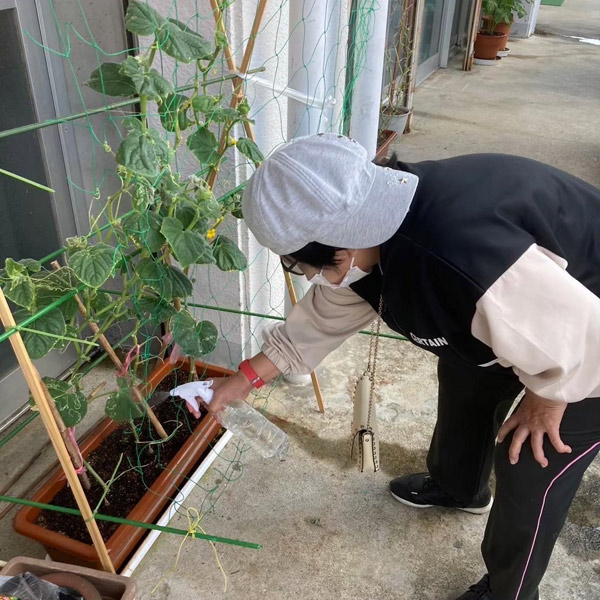 草花販売